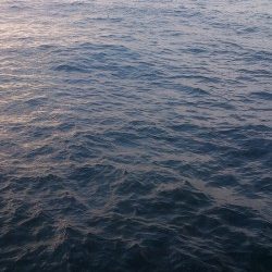 朝マズメ釣行 ！