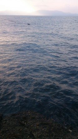 朝マズメ釣行 ！