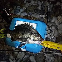 サーフアジング