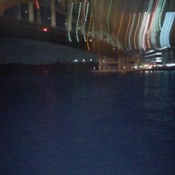 渋い状況での釣果