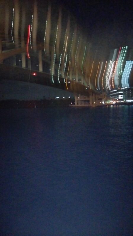 渋い状況での釣果