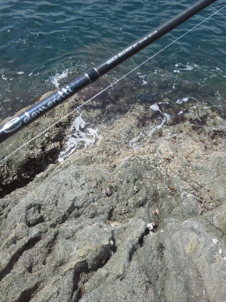 コウイカはイヤだぁ～