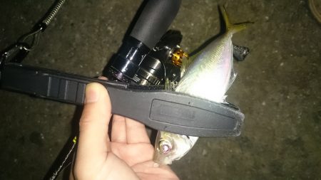 アジング釣行記