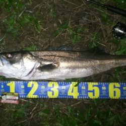 まとまった雨が欲しい