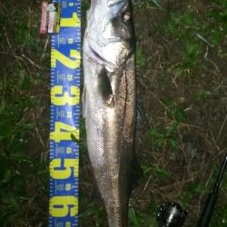 まとまった雨が欲しい