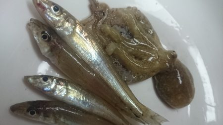 落ちキス狙いのはずが。