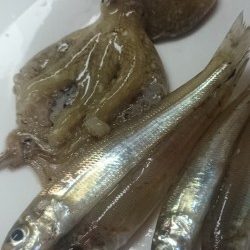 落ちキス狙いのはずが。