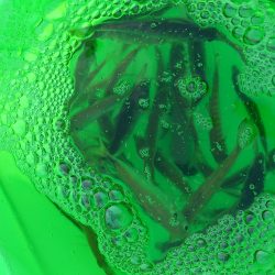 やはり激渋です。タモのご準備を忘れずに!