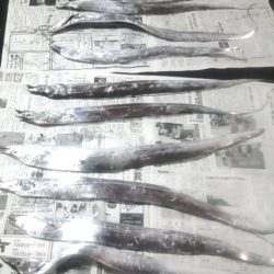 太刀魚ゲッター