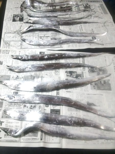 太刀魚ゲッター