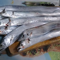大雨の中、当たり連発