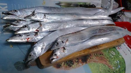 大雨の中、当たり連発