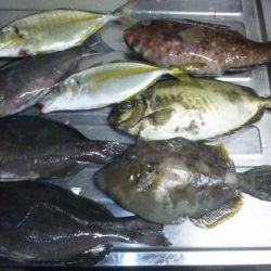 渡船にて、フカセ釣り