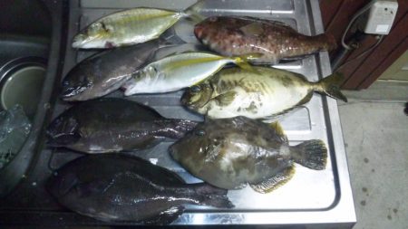 渡船にて、フカセ釣り