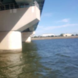 武庫川ハゼ釣りレポート2015②