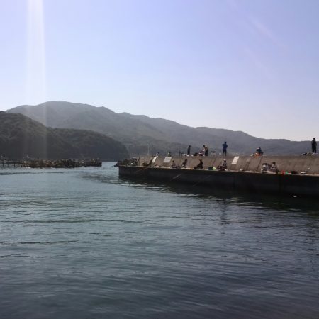 ベラに悩まされました…