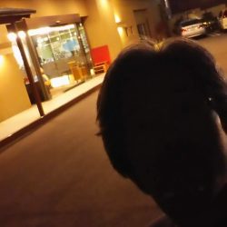 家族旅行DE淡路島観光ホテルさんに♪