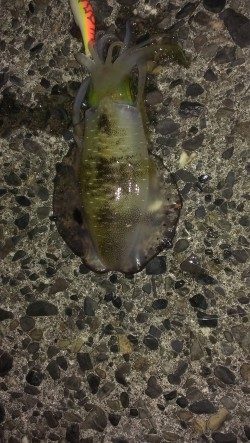 相変わらず渋いです。