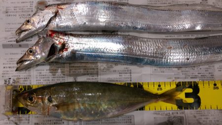 これでいいのだ