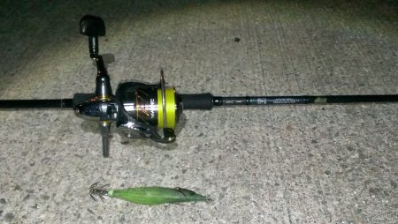 なんとかアオリイカ１杯ゲット！