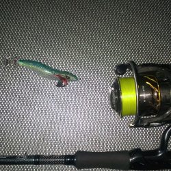 開始三投目で釣れました！