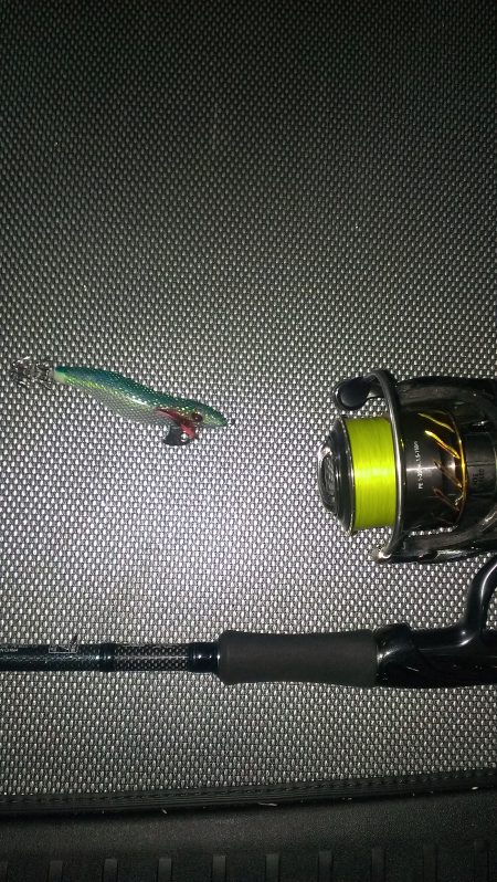 開始三投目で釣れました！