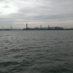 サビキって難しいね(涙)