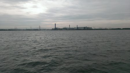 サビキって難しいね(涙)