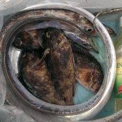 ダブルヘッダー南甲子園浜