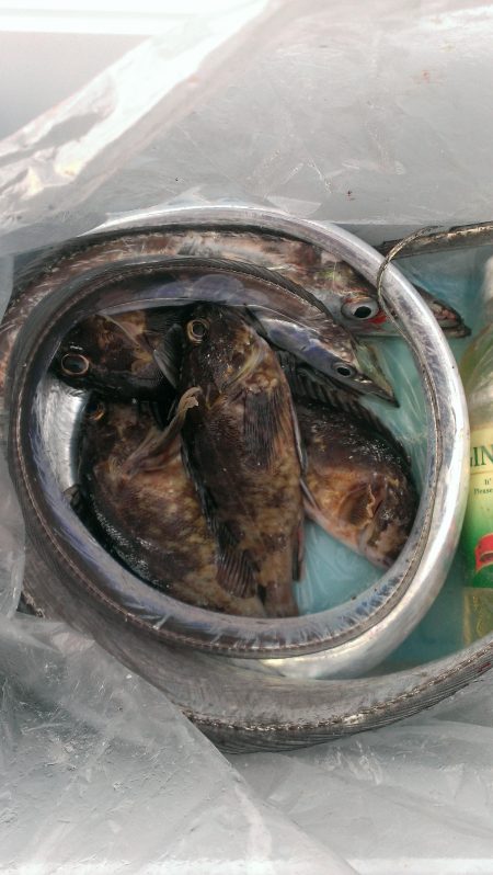 ダブルヘッダー南甲子園浜