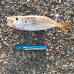 早起き報われず