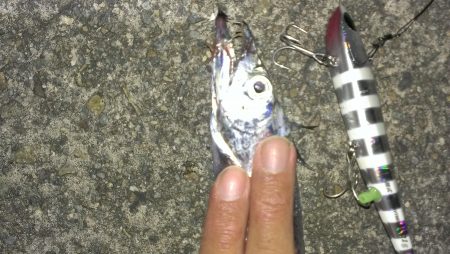 南甲子園浜、ボウズだけは免れる