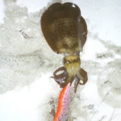 短時間でしたが楽しめました♪