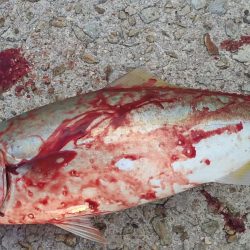 爆弾低気圧のあと