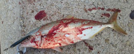 爆弾低気圧のあと