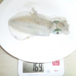 ベルトとコロッケ