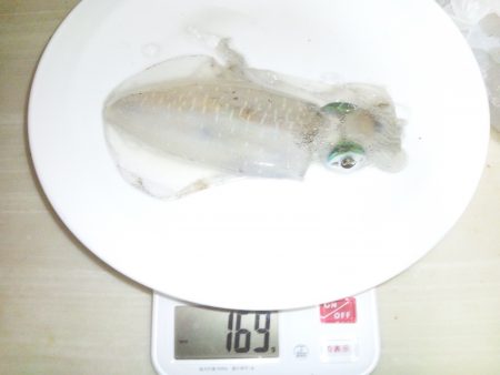 ベルトとコロッケ