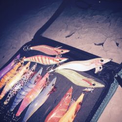 秋のエギングゲーム(・∀・)