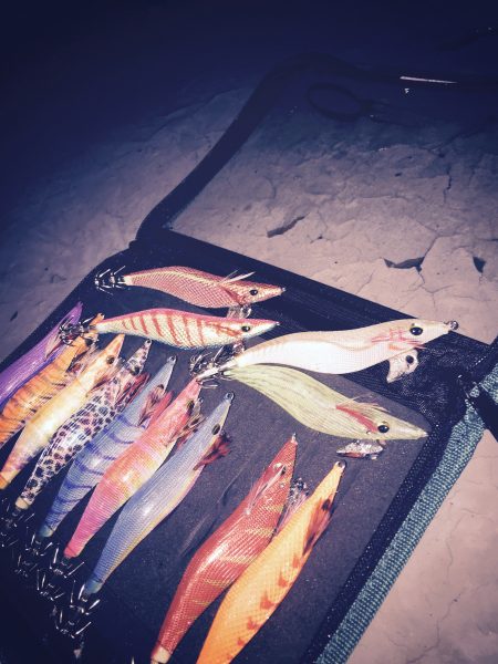 秋のエギングゲーム(・∀・)