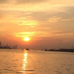 釣果はともかくドラゴンGET!