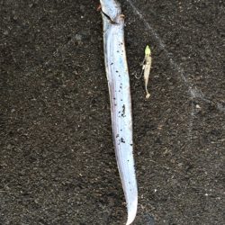 朝イチはイマイチ？