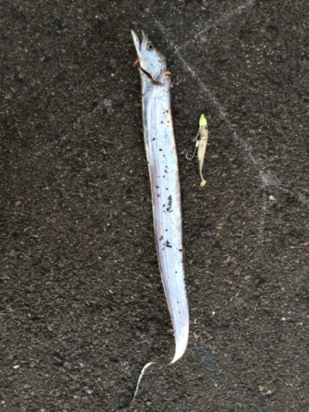 朝イチはイマイチ？