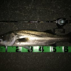 ベイトリール入魂