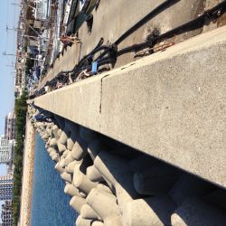 はじめての穴釣り