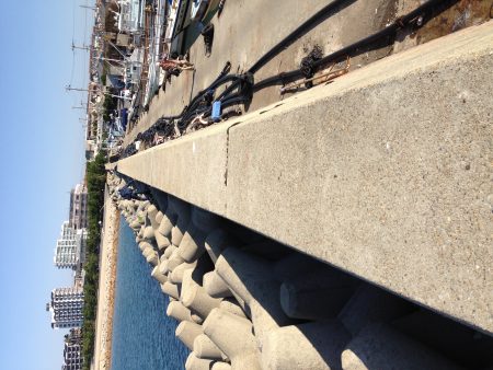 はじめての穴釣り