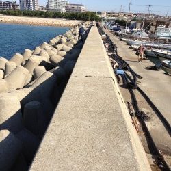 はじめての穴釣り