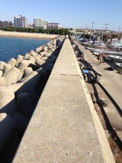 はじめての穴釣り