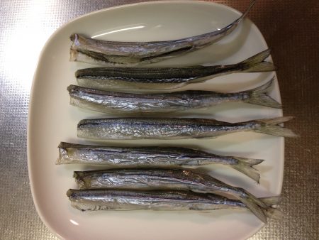 タチウオのはずが。。。