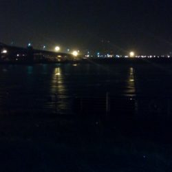 やっときました