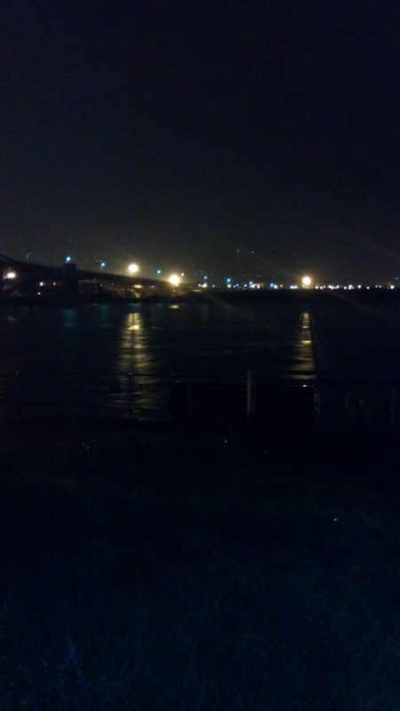 やっときました